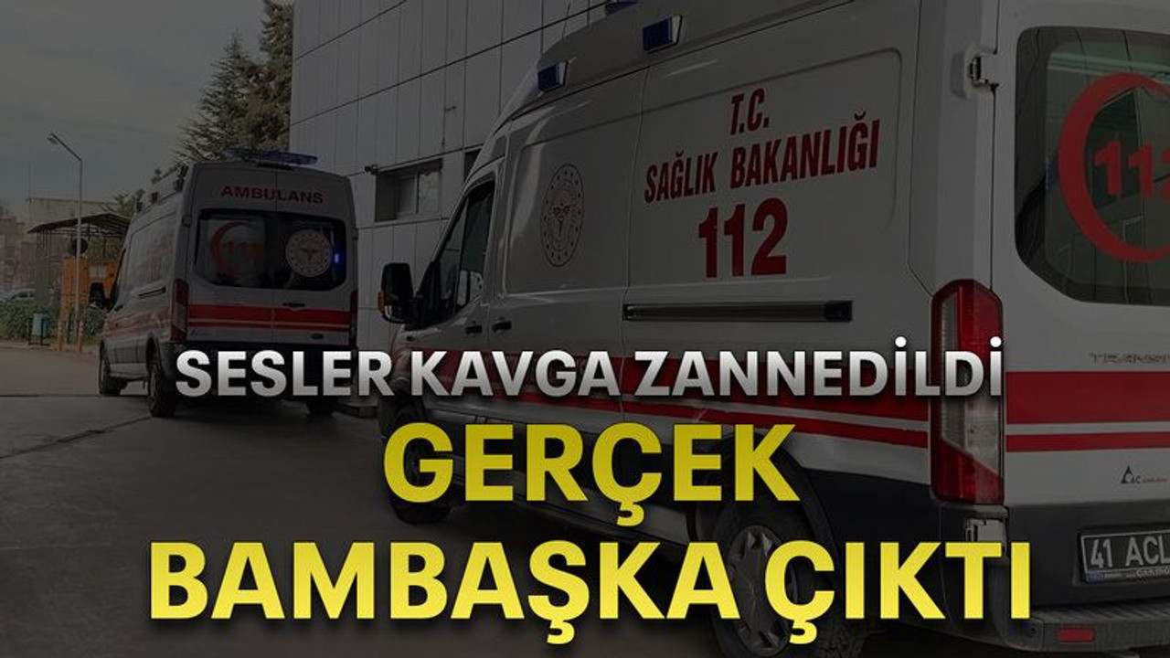 Sesler kavga zannedildi, gerçek bambaşka çıktı